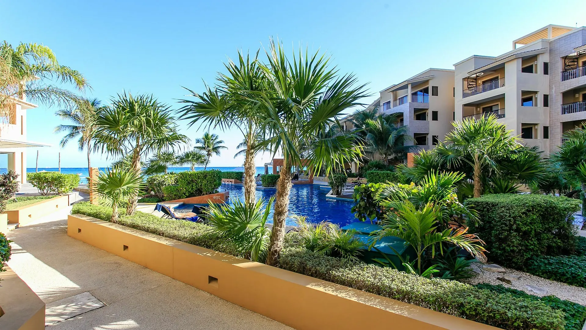 Condo Las Olas 306 By Playa Paradise contacts